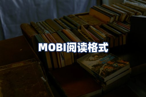 MOBI阅读格式